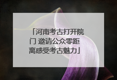 河南考古打开院门 邀请公众零距离感受考古魅力