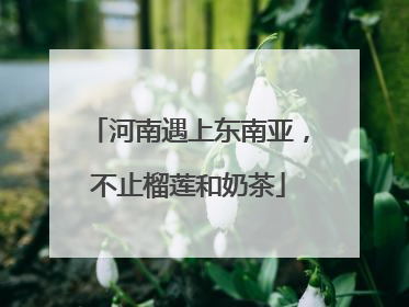 河南遇上东南亚，不止榴莲和奶茶