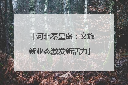 河北秦皇岛：文旅新业态激发新活力