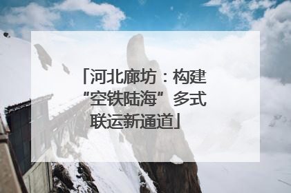 河北廊坊：构建“空铁陆海”多式联运新通道