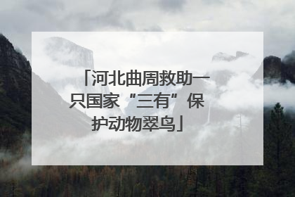 河北曲周救助一只国家“三有”保护动物翠鸟