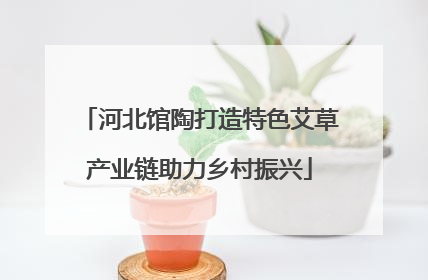 河北馆陶打造特色艾草产业链助力乡村振兴