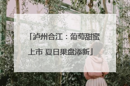 泸州合江：葡萄甜蜜上市 夏日果盘添新