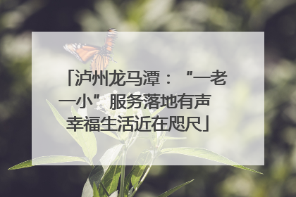 泸州龙马潭：“一老一小”服务落地有声 幸福生活近在咫尺