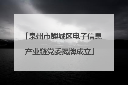 泉州市鲤城区电子信息产业链党委揭牌成立
