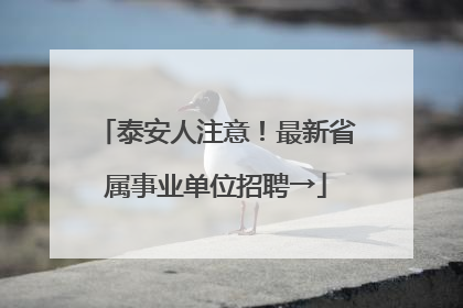 泰安人注意！最新省属事业单位招聘→