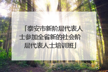 泰安市新阶层代表人士参加全省新的社会阶层代表人士培训班