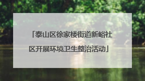 泰山区徐家楼街道新峪社区开展环境卫生整治活动