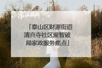 泰山区财源街道清真寺社区聚智破局家政服务痛点