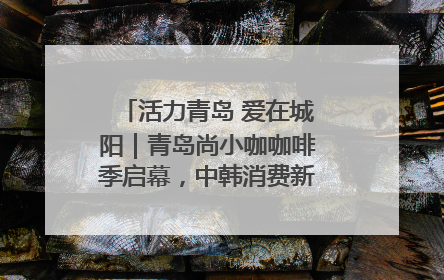 活力青岛 爱在城阳｜青岛尚小咖咖啡季启幕，中韩消费新场景点燃夏日热情
