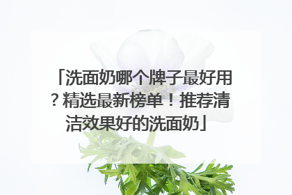洗面奶哪个牌子最好用？精选最新榜单！推荐清洁效果好的洗面奶