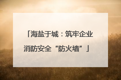 海盐于城：筑牢企业消防安全“防火墙”