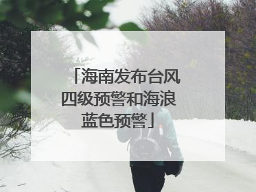海南发布台风四级预警和海浪蓝色预警