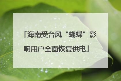 海南受台风“蝴蝶”影响用户全面恢复供电