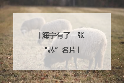 海宁有了一张“芯”名片