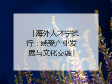 海外人才宁德行：感受产业发展与文化交融