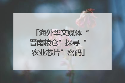 海外华文媒体“晋南粮仓”探寻“农业芯片”密码