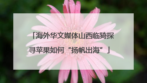 海外华文媒体山西临猗探寻苹果如何“扬帆出海”