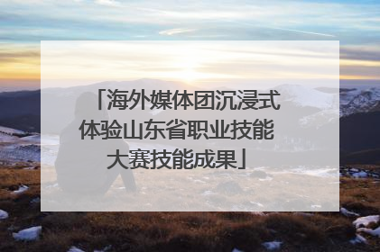 海外媒体团沉浸式体验山东省职业技能大赛技能成果