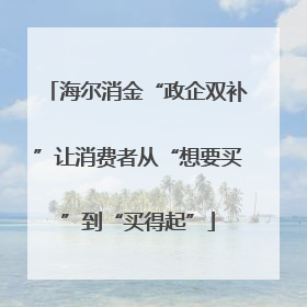 海尔消金“政企双补”让消费者从“想要买”到“买得起”