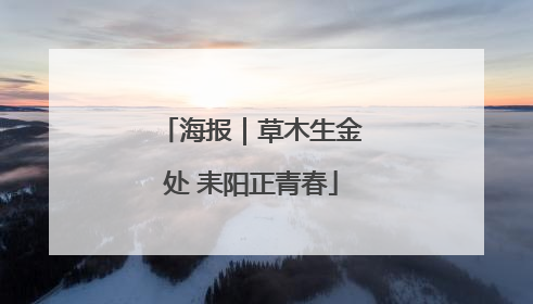 海报｜草木生金处 耒阳正青春