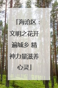 海沧区：文明之花开遍城乡 精神力量滋养心灵