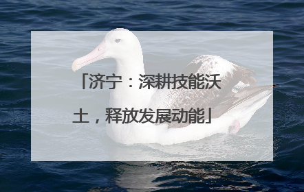 济宁：深耕技能沃土，释放发展动能