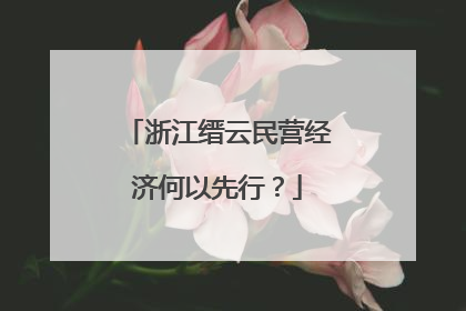 浙江缙云民营经济何以先行？