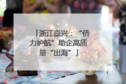 浙江嘉兴：“侨力护航”助企高质量“出海”
