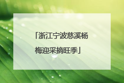 浙江宁波慈溪杨梅迎采摘旺季