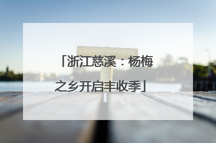 浙江慈溪：杨梅之乡开启丰收季
