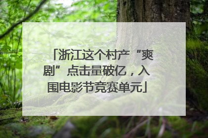 浙江这个村产“爽剧”点击量破亿，入围电影节竞赛单元