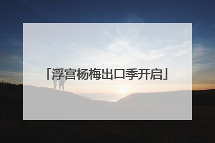 浮宫杨梅出口季开启