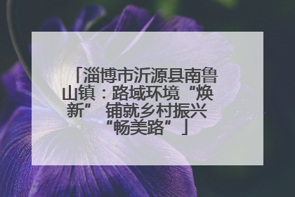 淄博市沂源县南鲁山镇：路域环境“焕新” 铺就乡村振兴“畅美路”
