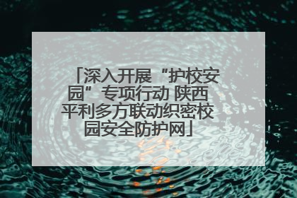 深入开展“护校安园”专项行动 陕西平利多方联动织密校园安全防护网