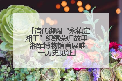 清代御赐“永镇定湘王”织绣荣归故里 湘军博物馆首展唯一历史见证
