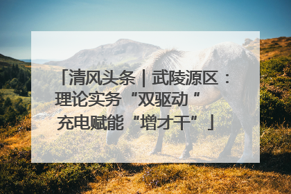 清风头条｜武陵源区：理论实务“双驱动 ” 充电赋能“增才干”