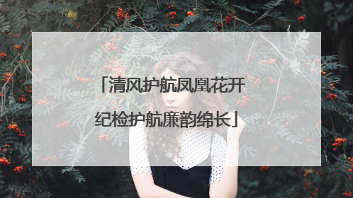 清风护航凤凰花开 纪检护航廉韵绵长