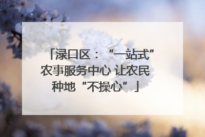 渌口区：“一站式”农事服务中心 让农民种地“不操心”