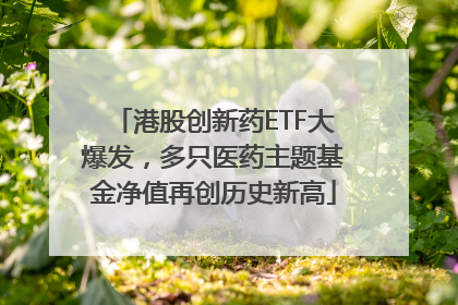 港股创新药ETF大爆发，多只医药主题基金净值再创历史新高