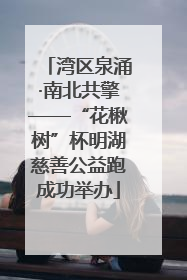 湾区泉涌·南北共擎——“花楸树”杯明湖慈善公益跑成功举办