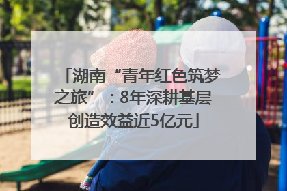 湖南“青年红色筑梦之旅”：8年深耕基层创造效益近5亿元
