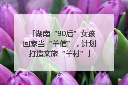湖南“90后”女孩回家当“羊倌”，计划打造文旅“羊村”