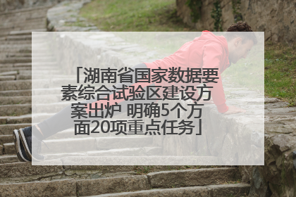 湖南省国家数据要素综合试验区建设方案出炉 明确5个方面20项重点任务