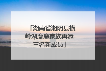 湖南省湘阴县横岭湖麋鹿家族再添三名新成员