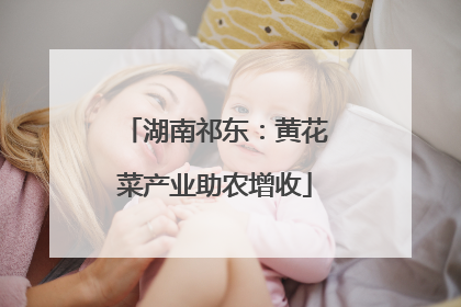 湖南祁东：黄花菜产业助农增收