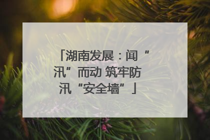 湖南发展：闻“汛”而动 筑牢防汛“安全墙”