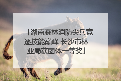 湖南森林消防尖兵竞逐技能巅峰 长沙市林业局获团体一等奖