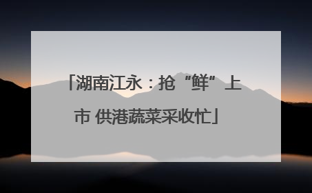湖南江永：抢“鲜”上市 供港蔬菜采收忙