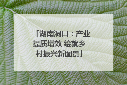湖南洞口：产业提质增效 绘就乡村振兴新图景